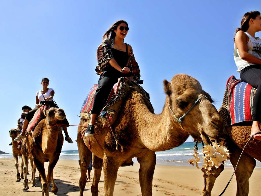 Tour de Marrakech al Desierto con guía